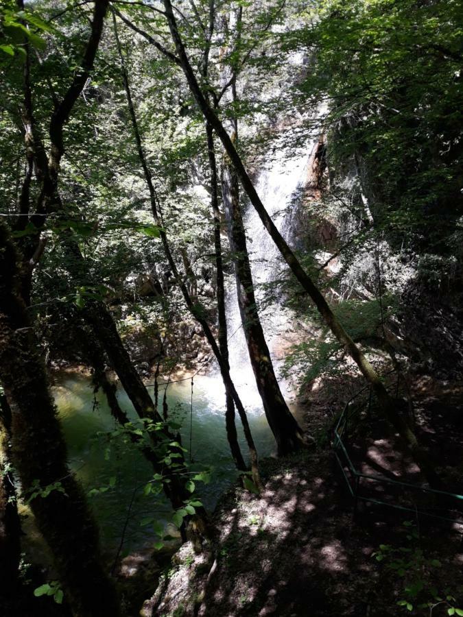 Kuca Za Odmor Luna Buje Esterno foto
