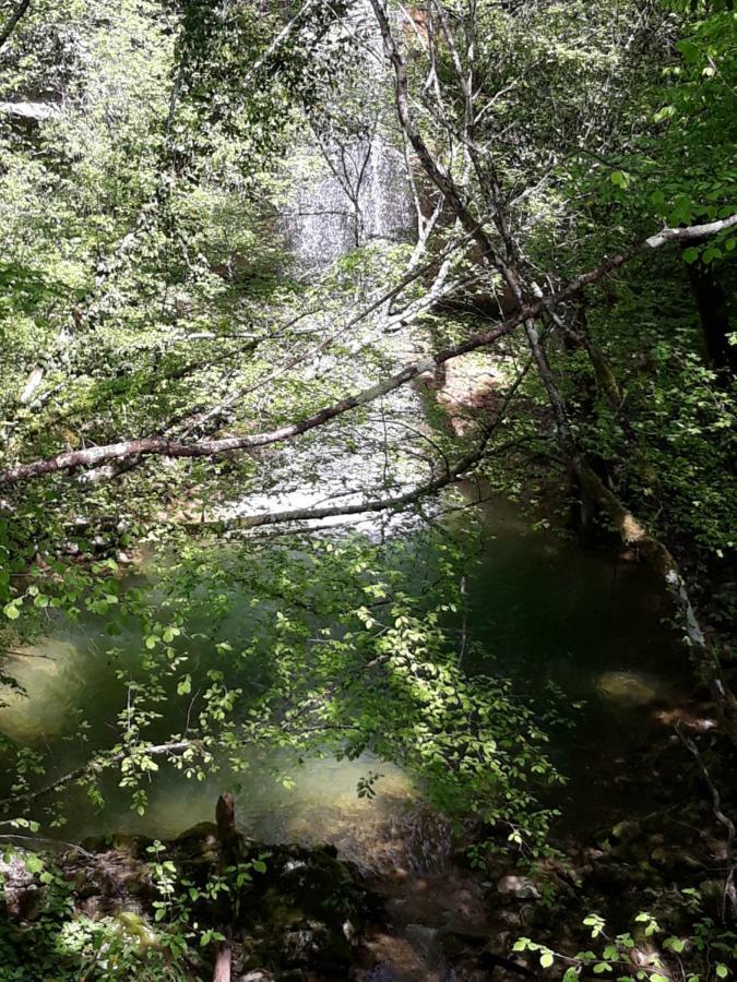 Kuca Za Odmor Luna Buje Esterno foto